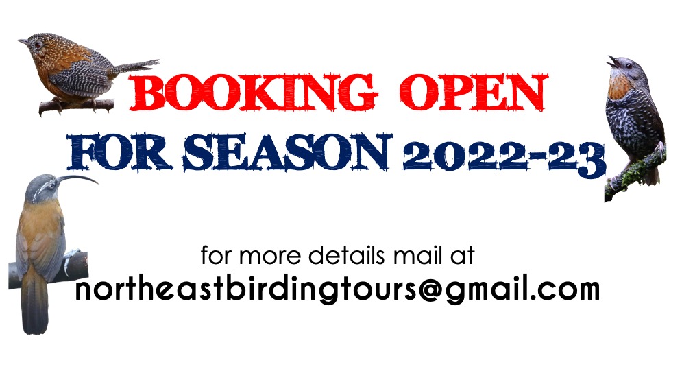 Booking