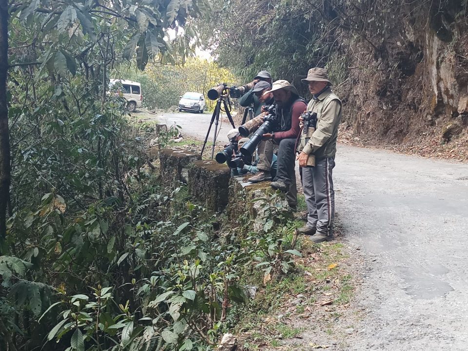 Birding at Mishimi Hills