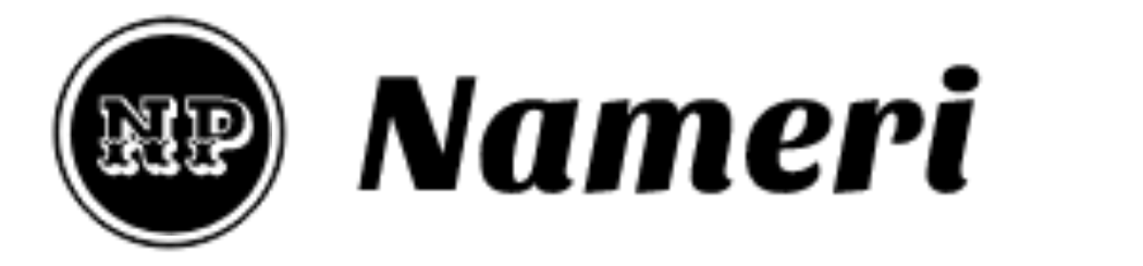 Logo nameri
